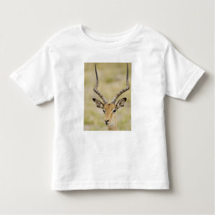 Male impala with beautiful horns in soft light toddler T-Shirt