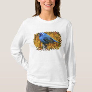Male Indigo Bunting, Passerina cyanea T-Shirt
