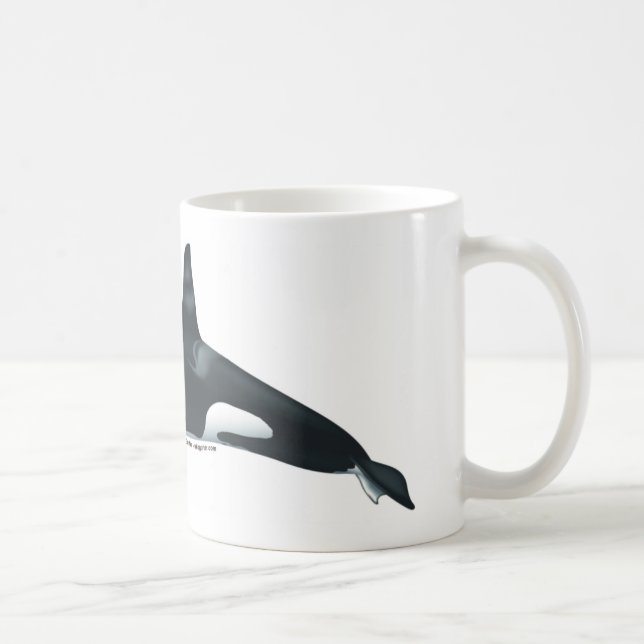 Male Killer Whale Classical Mug (Right)