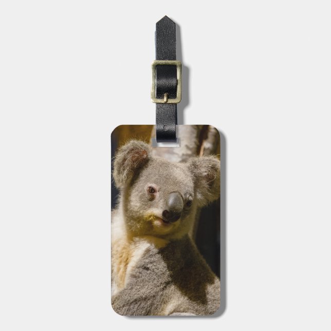 Male Koala Personalise Luggage Tag (Front Vertical)