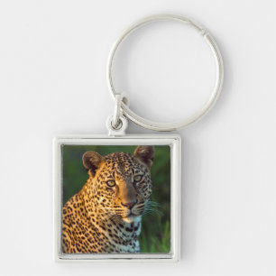 Male Leopard (Panthera Pardus) Full-Grown Cub Key Ring