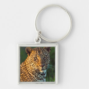 Male Leopard (Panthera Pardus) Full-Grown Cub Key Ring