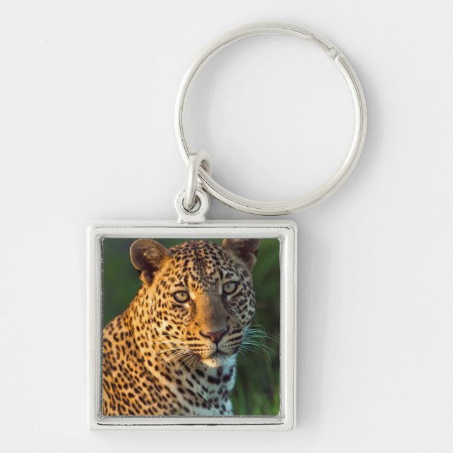 Male Leopard (Panthera Pardus) Full-Grown Cub Key Ring (Front)