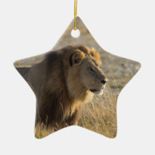 MALE LION 14 BOTSWANA CERAMIC ORNAMENT