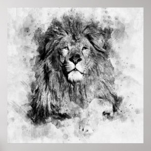 Male Lion Black and White Watercolor Portrait Poster