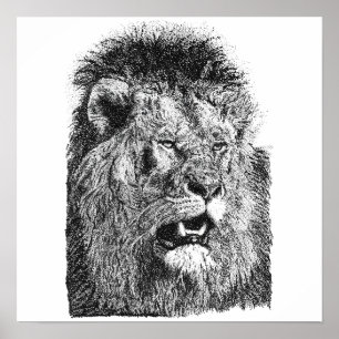 Male Lion Head Hand Drawn Art Big Cat Illustration Poster