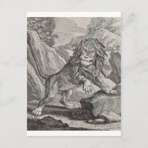 Male Lion in Serengeti National Park, Tanzania Postcard