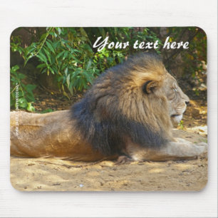 Male Lion Mousepad