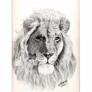 Male Lion Photo Sculpture