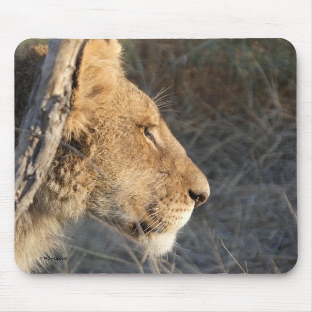 MALE LION PORTRAIT MOUSE PAD (Front)