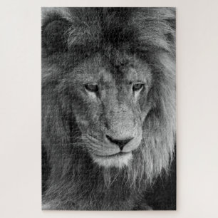 male lion puzzle