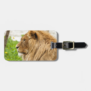 Male Lion Resting in Grass Luggage Tag