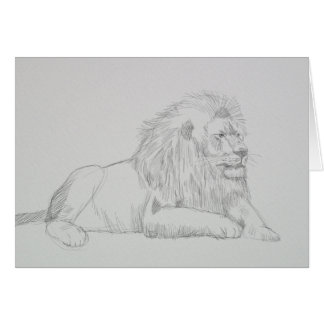 Male Lion Sketch