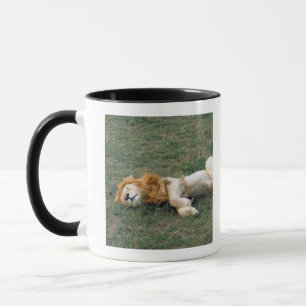 Male Lion Stretching Mug