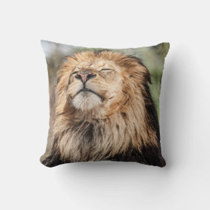 Male Lion Sunbathing Cushion