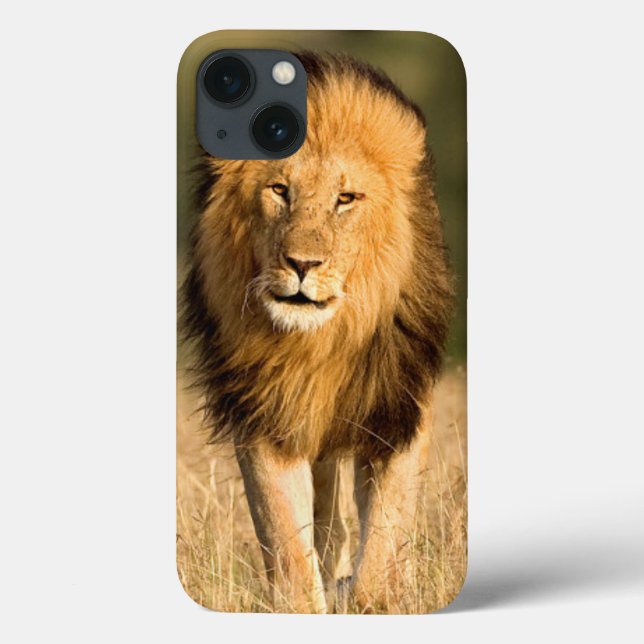 Male Lion Walking Case-Mate iPhone Case (Back)