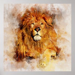 Male Lion With Large Mane Watercolor Portrait Poster