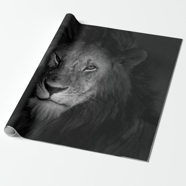 MALE LION WRAPPING PAPER (Unrolled)