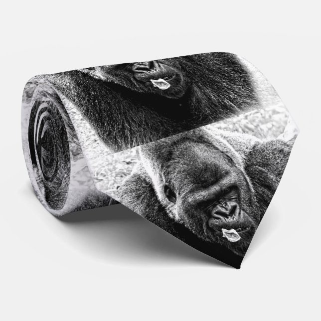 Male Lowland Silverback Gorilla, Black and White Tie (Rolled)