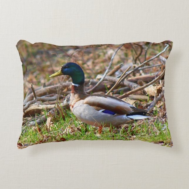 Male Mallard Duck Decorative Cushion (Front)