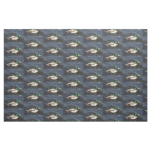 Male Mallard Duck Fabric