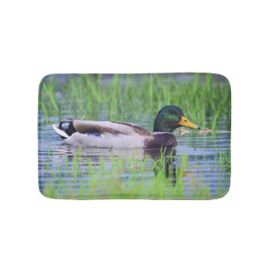 Male mallard duck floating on the water bath mat