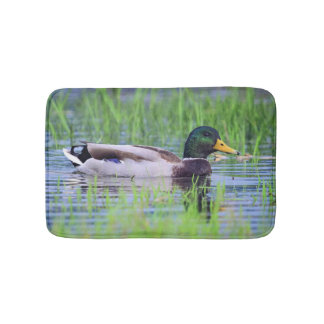 Male mallard duck floating on the water bath mat