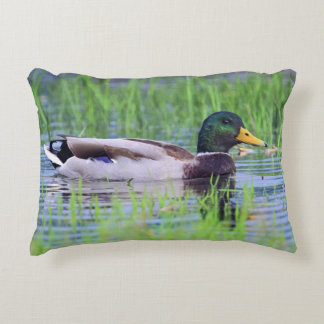 Male mallard duck floating on the water decorative cushion
