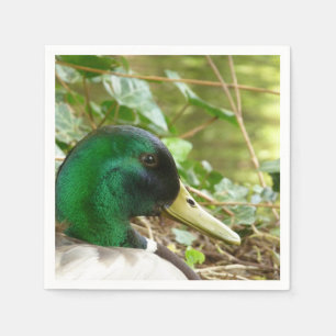 Male Mallard Duck Napkin