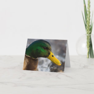 Male Mallard Portrait Thank You Card