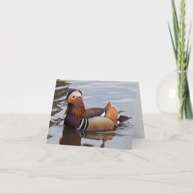 Male Mandarin Duck Notecard (Front)