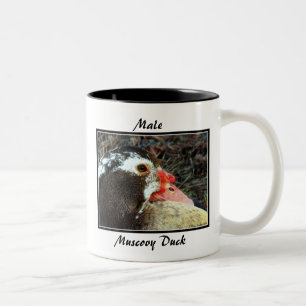 Male Muscovy Duck Two-Tone Coffee Mug