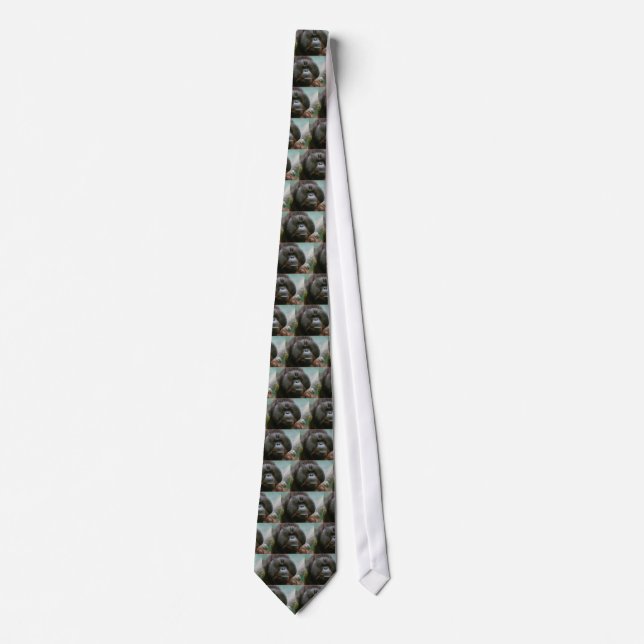 male orangutan tie (Front)