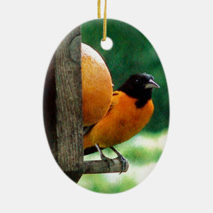 Male Oriole Ceramic Ornament