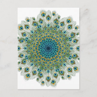 Male Peacock Colourful Mandala Postcard