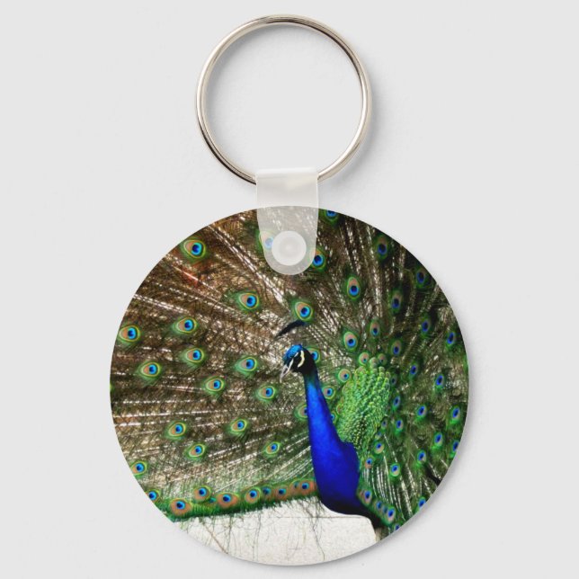 Male Peacock Feather Display Key Ring (Front)