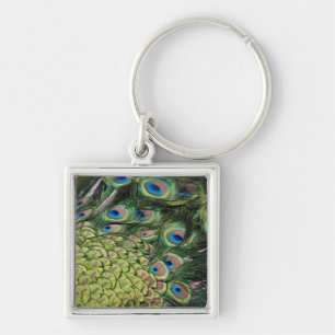 Male peacock (Pavo cristatus) displaying tail Key Ring