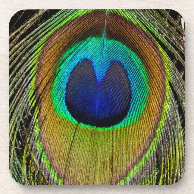 Male peacock tail feathers coaster (Front)
