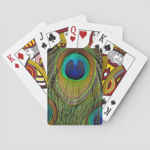 Male peacock tail feathers playing cards