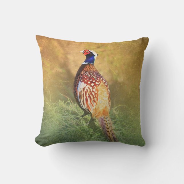 Male Pheasant Cushion (Front)