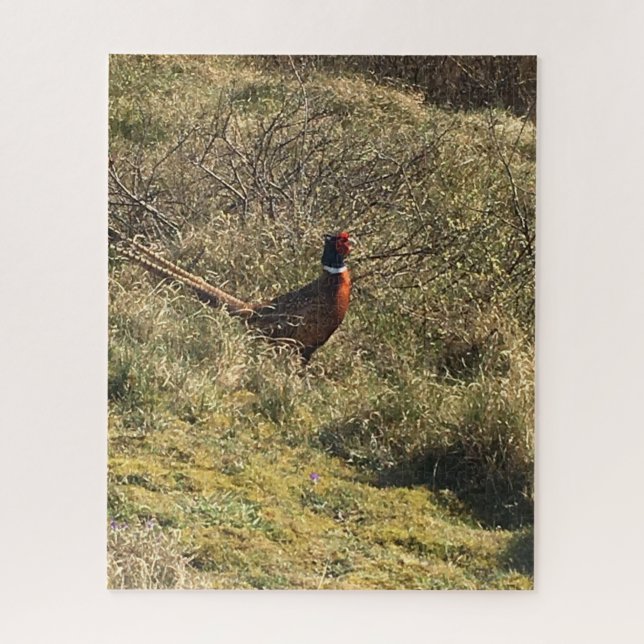 Male pheasant in the nature jigsaw puzzle (Vertical)