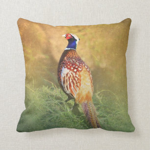 Male Pheasant Pillow