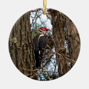Male Pileated Woodpecker Ceramic Ornament
