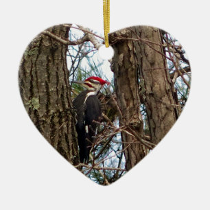 Male Pileated Woodpecker Ceramic Tree Decoration