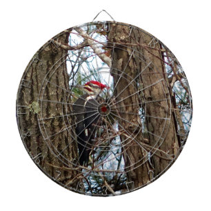 Male Pileated Woodpecker Dartboard