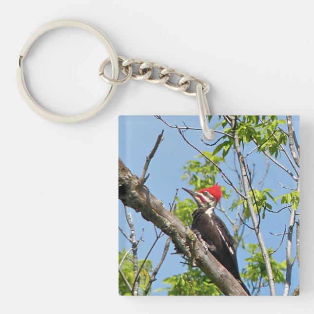 Male Pileated Woodpecker Key Ring (Front)