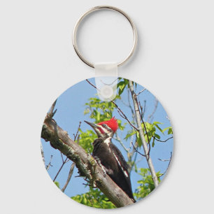 Male Pileated Woodpecker Key Ring