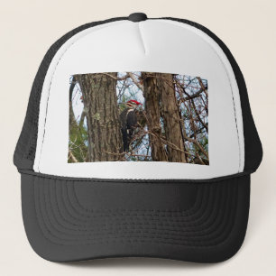 Male Pileated Woodpecker Trucker Hat