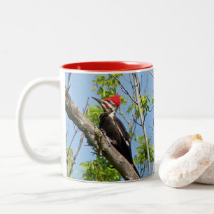 Male Pileated Woodpecker Two-Tone Coffee Mug