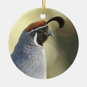 Male Quail Portrait Ceramic Ornament